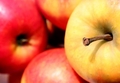Oh Apple, verlos ons van Microsoft