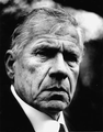Revenuen